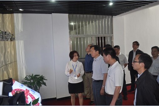 四川省宜賓市南溪區(qū)肖區(qū)長等陪同中央組織部干訓(xùn)局陳局長等蒞臨“數(shù)字南溪社會服務(wù)中心”檢查指導(dǎo)工作